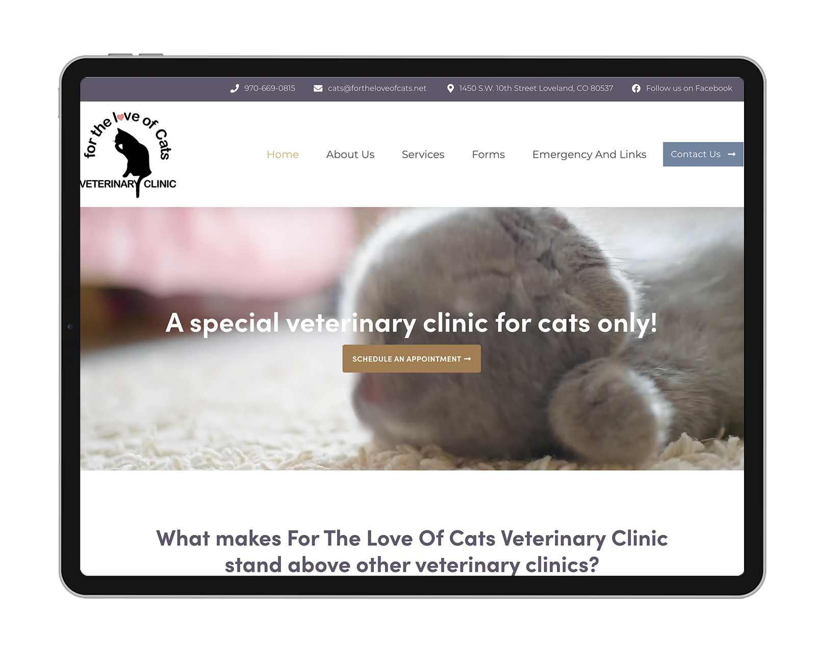 for-the-love-of-cats-vet-website-1