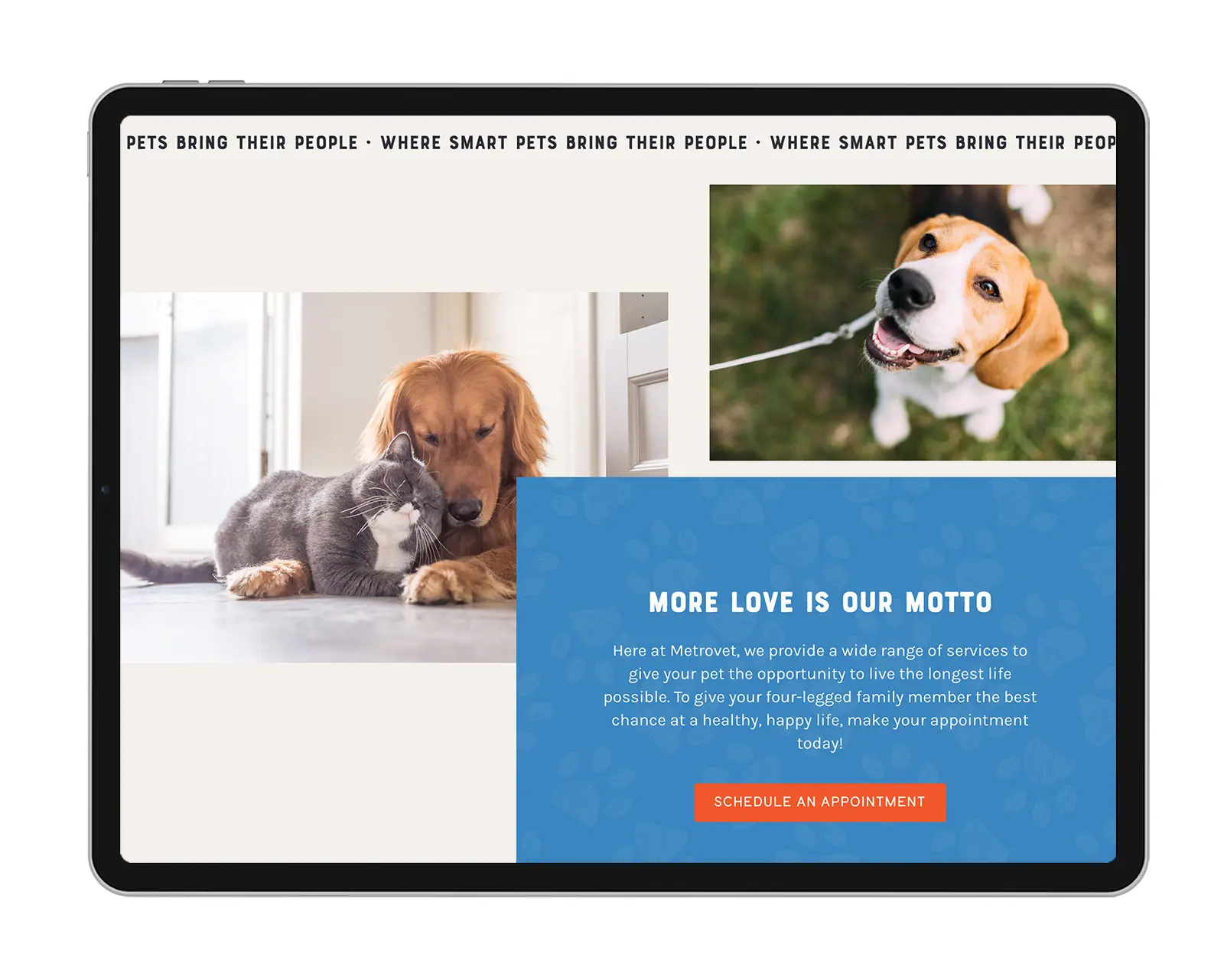 metrovet-veterinary-clinic-website-3