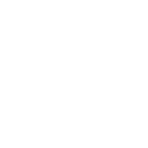 logo2